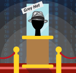 Sombrero Gris, Tipos de Hacker