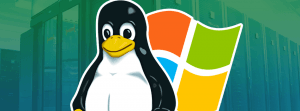 Linux o Windows ¿Cuál Web Hosting es Mejor?